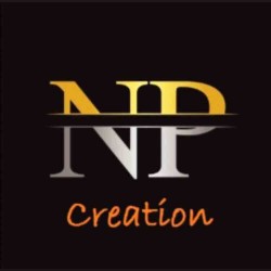 n p creation logo icon