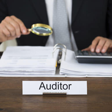 companies  auditor   delhi