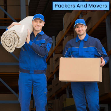 companies  packers and movers   chennai