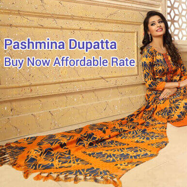 Wholesale  pashmina dupatta   kanpur