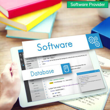 companies  software provider   kanpur