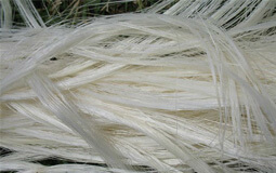 sisal fibre
