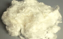 viscose staple fibre