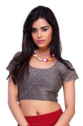 Round neck designer blouse