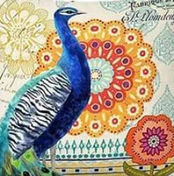 Digital Printed Cushion Cover