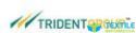 Trident India Ltd