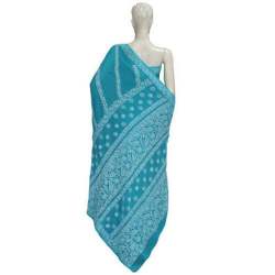 Chikankari Chiffon Saree