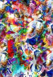 Digital Printed Fabric