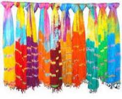 Daily Drape Multi Color Dupatta 