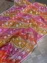 super-soft-organza-silk-multicolor-piant-saree