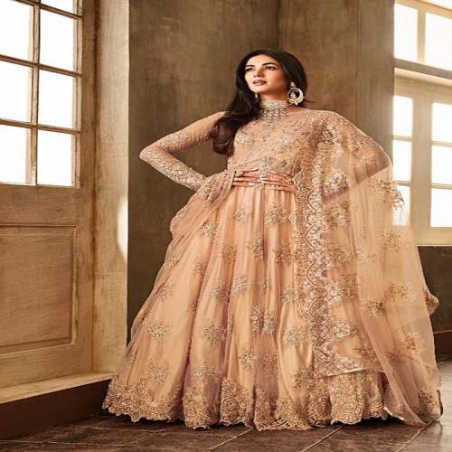 heavy designer wedding and party wear dress