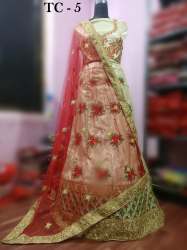 new design party wear & wedding wear lahenga choli
