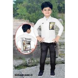 stylish shirt and pant