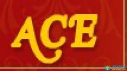 ACE International logo icon