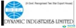 Dynamic Industries Ltd logo icon