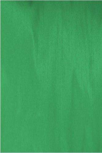 Rama Green Shantoon Fabric