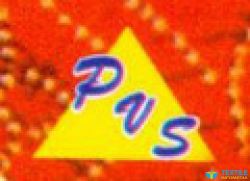Parekh Velji Somchand Co logo icon