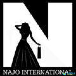 Najo International logo icon