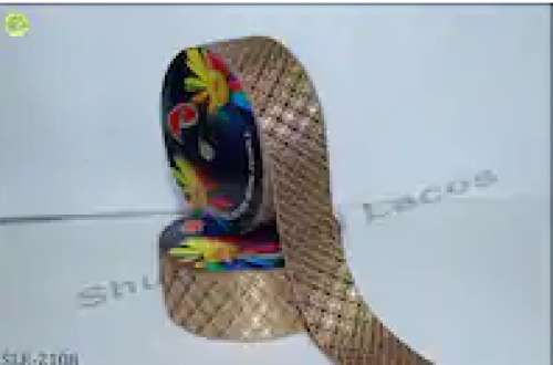 Fancy jaquard lace 