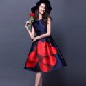 designer-western-dress11