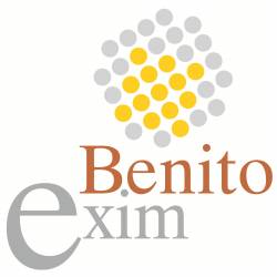 Benito Exim logo icon