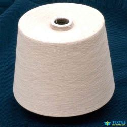 Jayalakshmi Spinning Mills Ltd logo icon