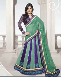 Border Designer Saree With Embroidered Blouse