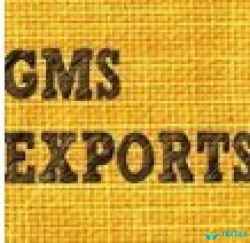 GMS Exports logo icon