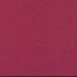 Polyester Jersey Fabric