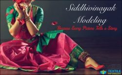 siddhi vinayak modeling logo icon