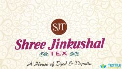 Shree Jinkushal logo icon