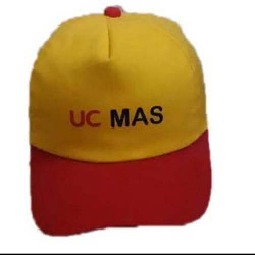 panel mens cap