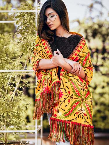 Turmeric Woollen Embroidered Muffler by Mesmora