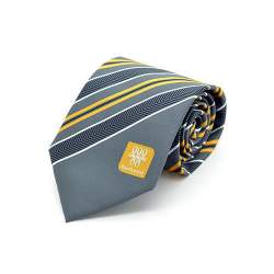 Ajanta fancy tie