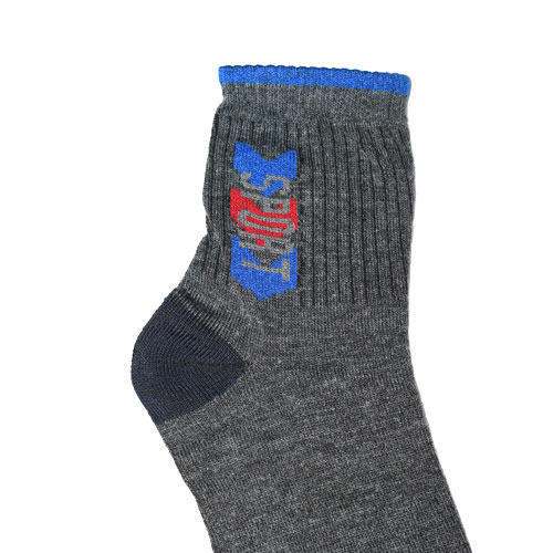 Mens Ankle Sports Socks
