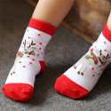 Baby Printed Socks