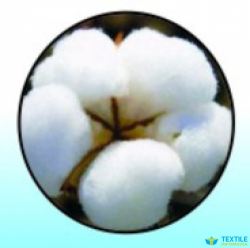 Sri Padmavathi Cotton Ginning And Pressing Factory logo icon
