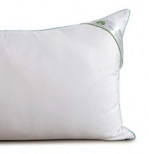 aloe vera pillow
