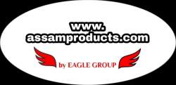 EAGLE GROUP logo icon