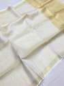 Tissue Linen saree thumb 2
