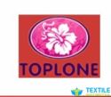 Toplone Nets