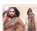 fancy-lace-border-ladies-saree
