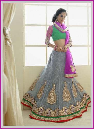 Net Embroidered Lehenga