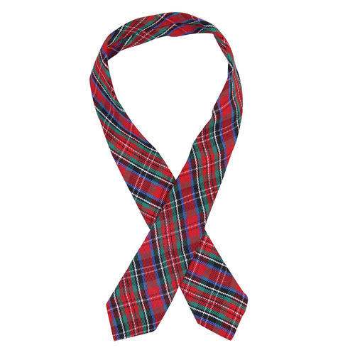 Kids School Tie