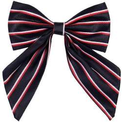 Silk Bow Tie