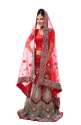 Red Fancy Designer Lehenga