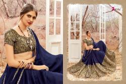 Ladies Fancy Designer Saree8