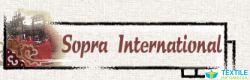 Sopra International logo icon