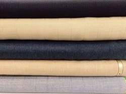 Raymond Brand Suiting Fabric
