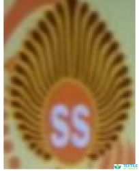 Soumya Synthetics logo icon